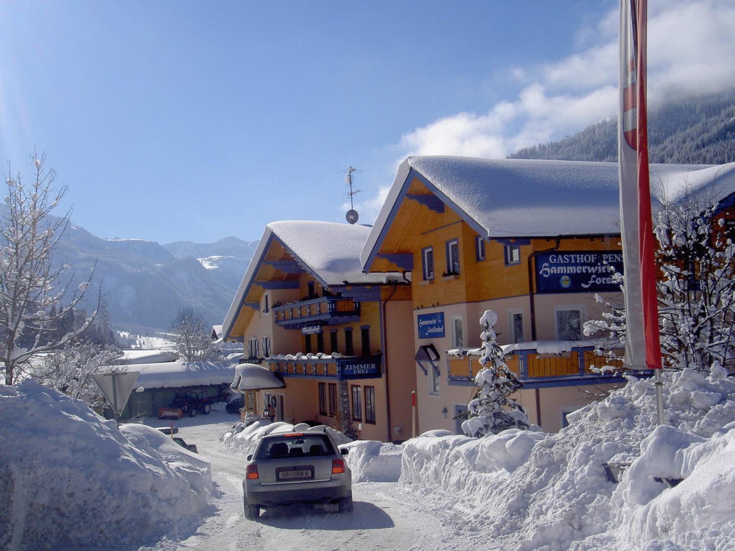Hotel Hammerwirt - Forellenhof Untertauern Eksteriør bilde